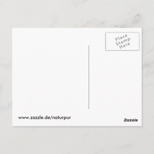 löwe postkarte (Rückseite)