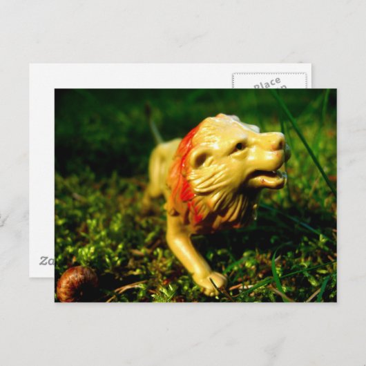 Löwe Postkarte (Vorne/Hinten)