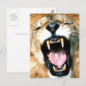 Löwe Postkarte (Vorne/Hinten)