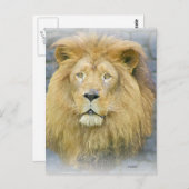 Löwe Postkarte (Vorne/Hinten)