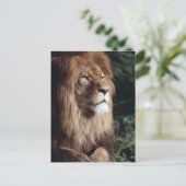 Löwe Postkarte (Stehend Vorderseite)
