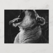 Löwe Postkarte (Vorderseite)