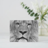 Löwe Postkarte (Stehend Vorderseite)