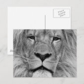 Löwe Postkarte (Vorne/Hinten)