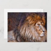 Löwe [Postkarte] ポ ト ド Postkarte (Vorne/Hinten)