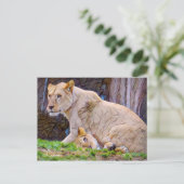 Löwe [Postkarte] Postkarte (Stehend Vorderseite)