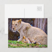 Löwe [Postkarte] Postkarte (Vorne/Hinten)