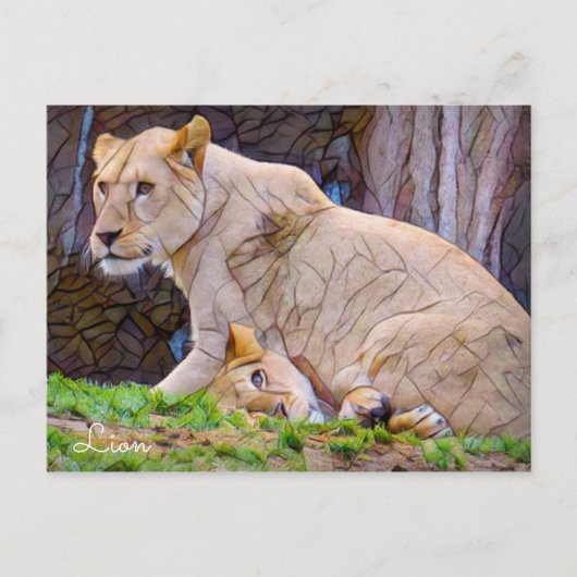Löwe [Postkarte] Postkarte (Vorderseite)