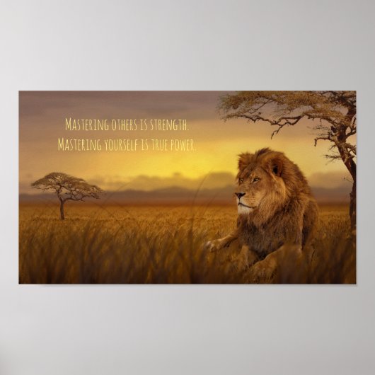 Löwe Power 11" x 8,5", Value Poster Paper (Matte) (Vorne)