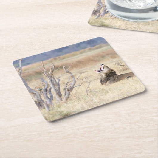 Löwe Rechteckiger Pappuntersetzer (angewinkelt)