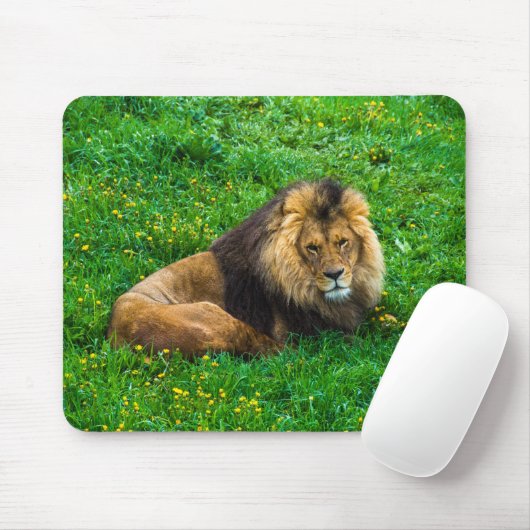 Löwe Relaxen im grünen Gras-Foto Mousepad (Mit Mouse)