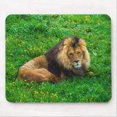 Löwe Relaxen im grünen Gras-Foto Mousepad (Vorne)