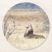 Löwe Runder Pappuntersetzer (Vorderseite)