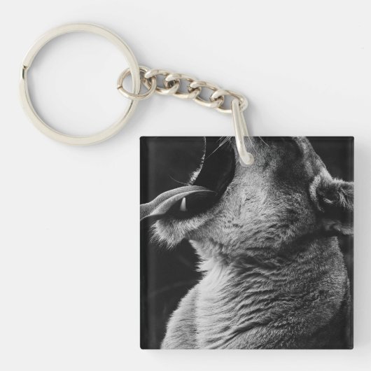 Löwe Schlüsselanhänger (Vorderseite)