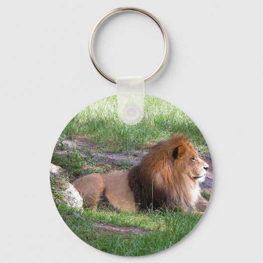 Löwe Schlüsselanhänger (Vorderseite)