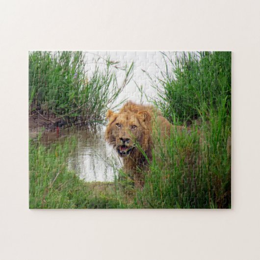Löwe sieht aus puzzle (Horizontal)