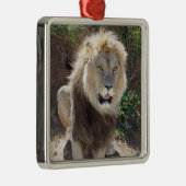 Löwe sitzt auf den Felsen Ornament Aus Metall (Rechts)