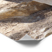 Löwe sitzt auf den Felsen Poster (Ecke)