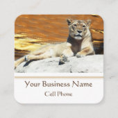 Löwe sitzt auf Rock King of the Hill Quadratische Visitenkarte (Vorderseite)