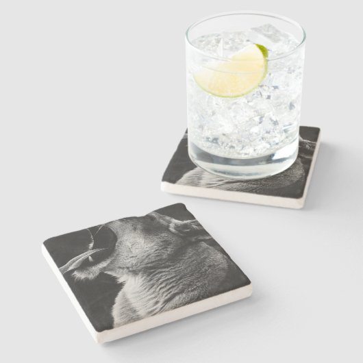 Löwe Steinuntersetzer (Seitenansicht)