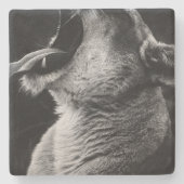 Löwe Steinuntersetzer (Vorderseite)