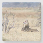 Löwe Steinuntersetzer (Vorderseite)