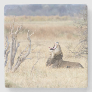 Löwe Steinuntersetzer