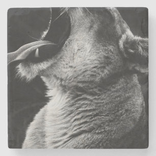 Löwe Steinuntersetzer