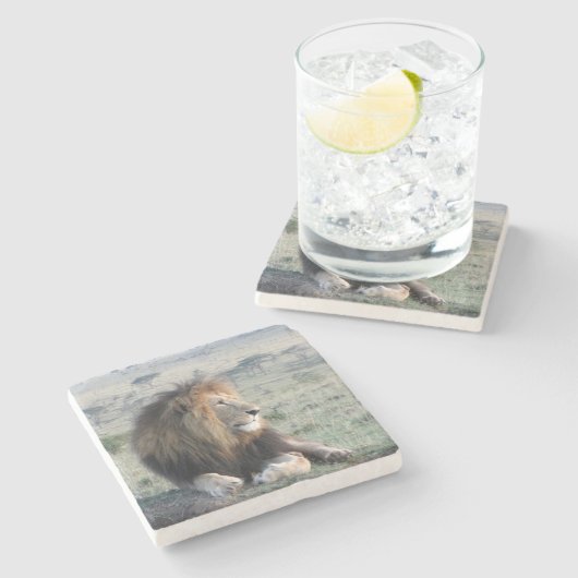 Löwe-SteinUntersetzer Steinuntersetzer (Seitenansicht)