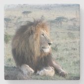 Löwe-SteinUntersetzer Steinuntersetzer (Vorderseite)