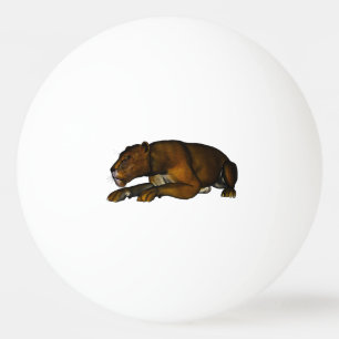 Löwe Tischtennisball