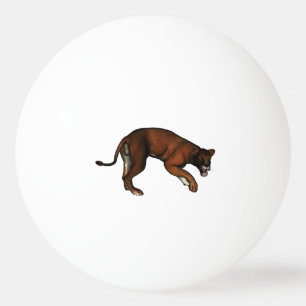 Löwe Tischtennisball