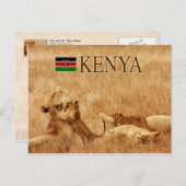 Löwe und cub, Tsavo, Kenia Postkarte (Vorne/Hinten)
