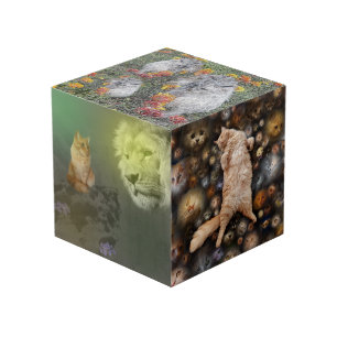 Löwe und Katze, Freunde, Foto Cube Würfel