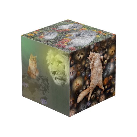 Löwe und Katze, Freunde, Foto Cube Würfel (Vorderseite Schrägansicht)