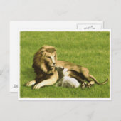 Löwe und Lamb Postkarte (Vorne/Hinten)