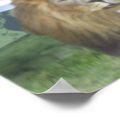 Löwe und Lamm Poster (Ecke)