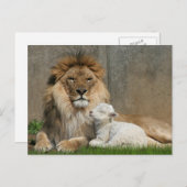 Löwe-und Lamm Weihnachten (Vorne/Hinten)