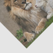 Löwe-und Lamm Weihnachten Seidenpapier (Ausschnitt)