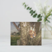 Löwe und Leopard sind Freunde Postkarte (Stehend Vorderseite)