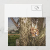 Löwe und Leopard sind Freunde Postkarte (Vorne/Hinten)