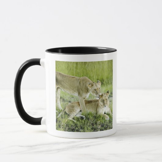 Löwe und Löwin, Afrika Tasse (Links)