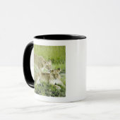 Löwe und Löwin, Afrika Tasse (Vorderseite Links)
