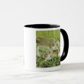 Löwe und Löwin, Afrika Tasse (VorderseiteRechts)