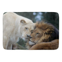 Löwe und Löwin
