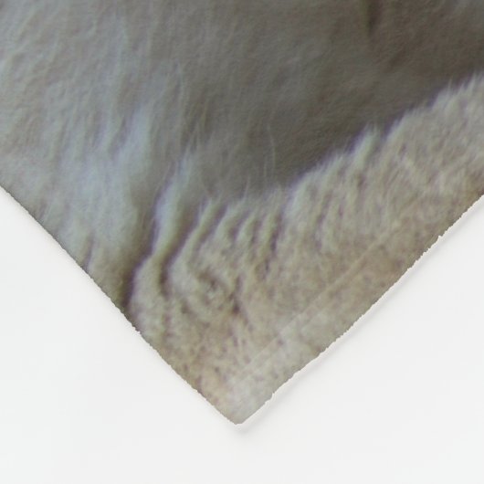 Löwe und Löwin Fleecedecke (Ecke)