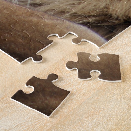 Löwe und Löwin Puzzle (Seite)