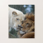 Löwe und Löwin Puzzle<br><div class="desc">Entzückende Fotografie von Löwe und Löwin nuzzling.</div>