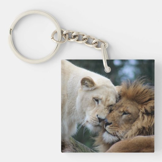 Löwe und Löwin Schlüsselanhänger (Vorderseite)