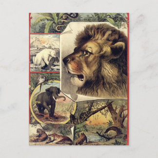 Löwe und wilde Tiere Vintage-Zirkusshow Postkarte
